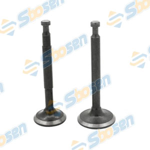 [1362-1368] Gasoline Valve 汽油 气门